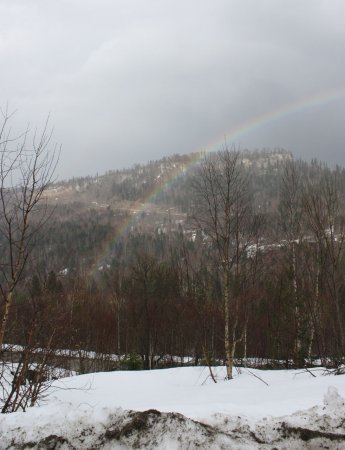 Почему на небе появляется радуга