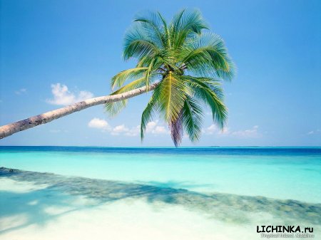 Увеличить картинку