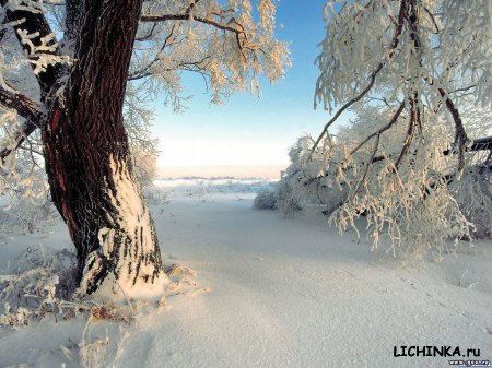 Увеличить картинку