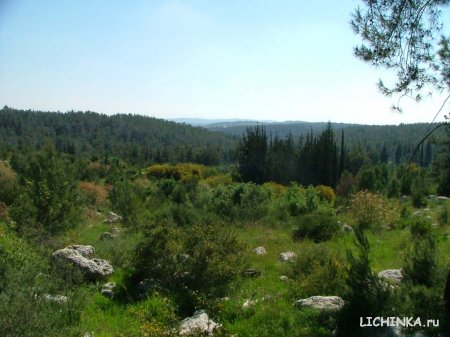 Увеличить картинку