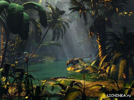 Увеличить картинку