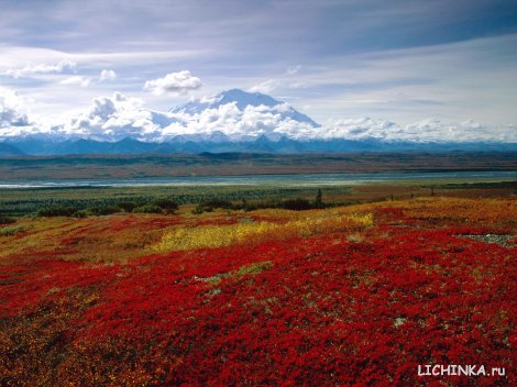 Увеличить картинку