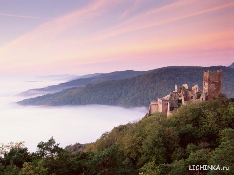 Увеличить картинку