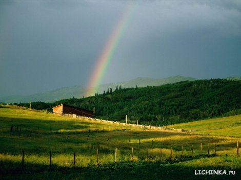Увеличить картинку