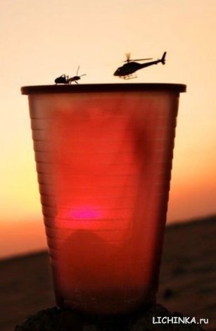 Увеличить картинку