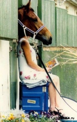 Увеличить картинку