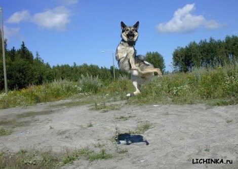 Увеличить картинку