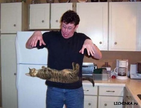 Увеличить картинку