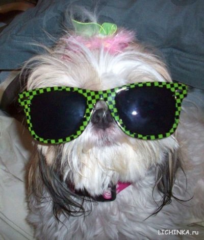 Увеличить картинку