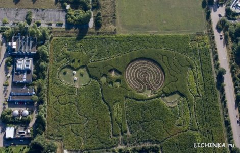 Увеличить картинку