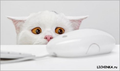 Увеличить картинку