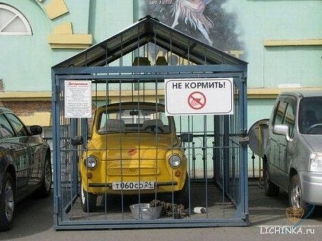 Увеличить картинку