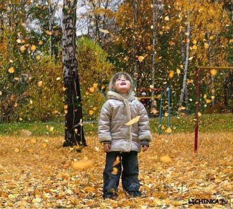 Увеличить картинку