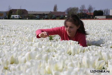 Увеличить картинку