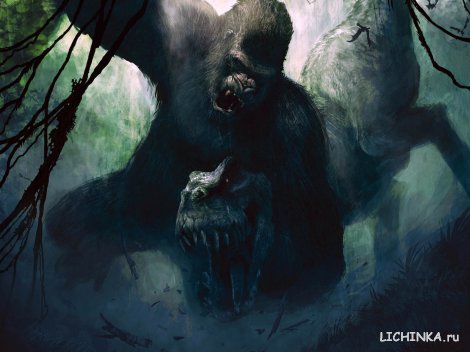 Увеличить картинку