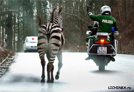 Увеличить картинку