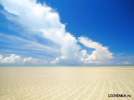 Увеличить картинку