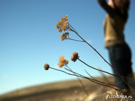 Увеличить картинку