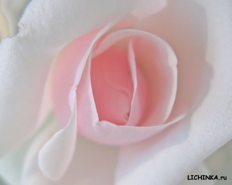 Увеличить картинку