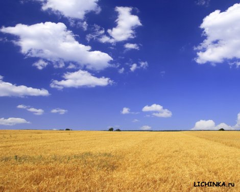 Увеличить картинку