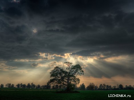 Увеличить картинку