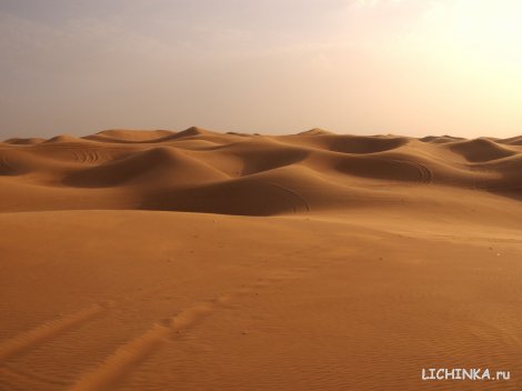 Увеличить картинку