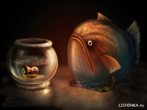 Увеличить картинку